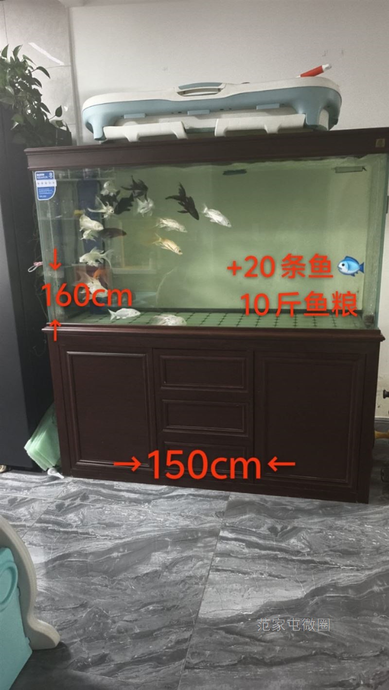 鱼缸