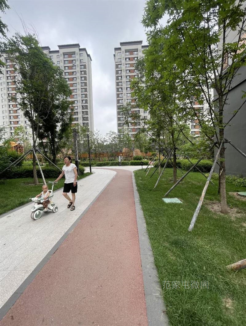 十一高学区书香邑高端住宅