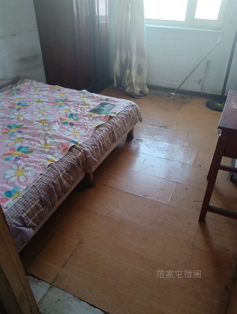 房东直租